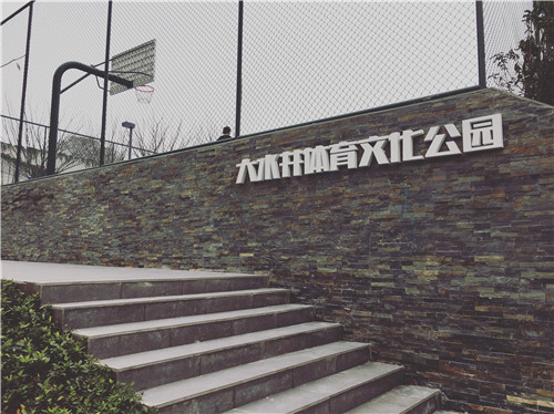 深圳美溪景觀作品丨重慶大水井體育文化公園