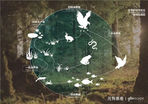 蜀國新天府,秀色看簡州——成都龍升公園