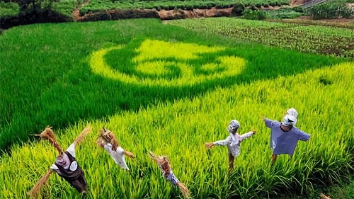 鄉(xiāng)建，留住鄉(xiāng)愁