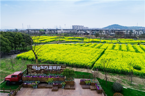 鄉(xiāng)建，留住鄉(xiāng)愁