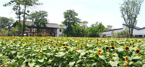 鄉(xiāng)建，留住鄉(xiāng)愁