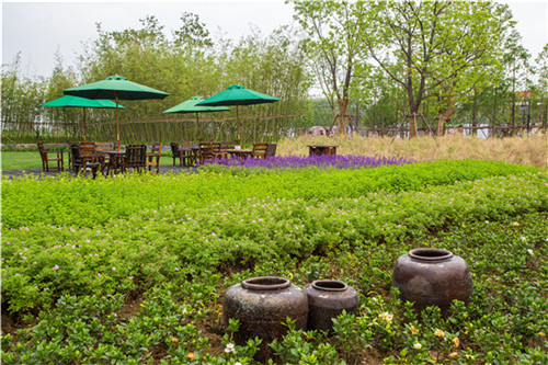 鄉(xiāng)建，留住鄉(xiāng)愁