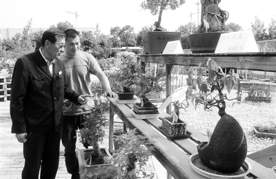 推進城區科學綠化提高居民獲得感