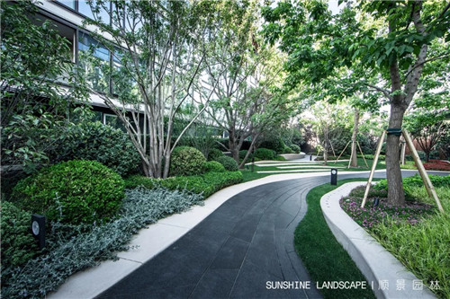 北京順景園林近期作品