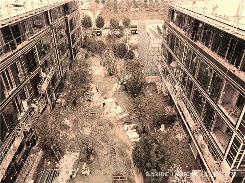 北京順景園林近期作品