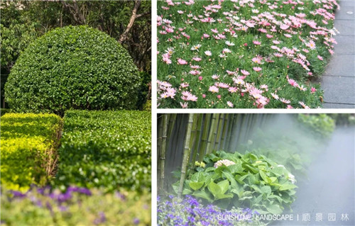 北京順景園林近期作品