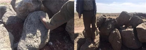 北京順景園林近期作品