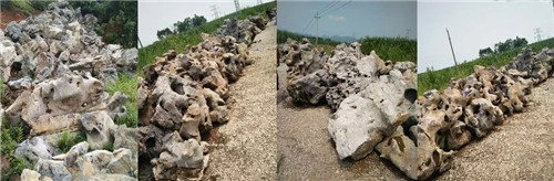 北京順景園林近期作品