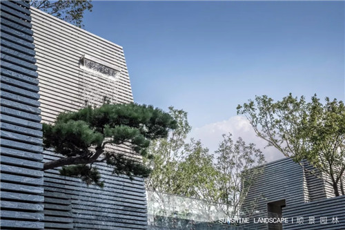 北京順景園林近期作品