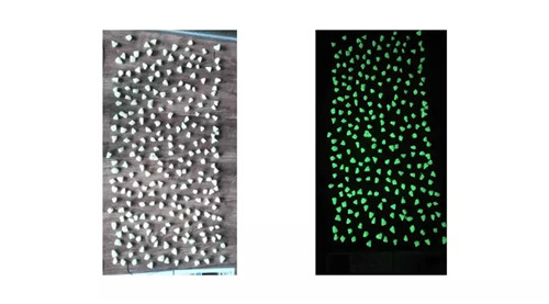 北京順景園林近期作品