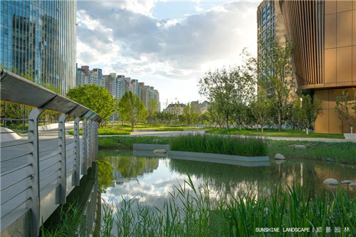 北京順景園林近期作品