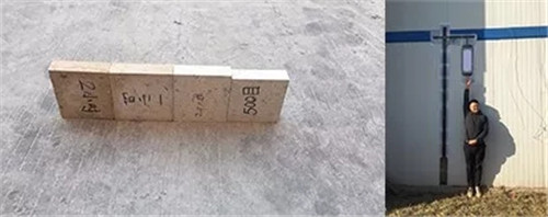 北京順景園林近期作品