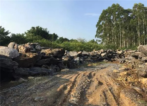 北京順景園林近期作品