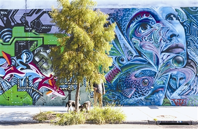 城市森林:繁華紐約的另一面