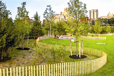 城市森林:繁華紐約的另一面