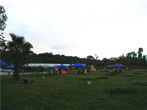 邊春霖:健康城市·健康園藝·健康人