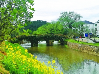 專家談鄉村景觀的保護與利用