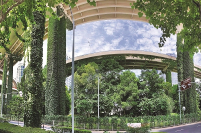 上海在城市更新中大力推廣立體綠化(多圖)