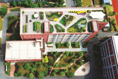 上海在城市更新中大力推廣立體綠化(多圖)