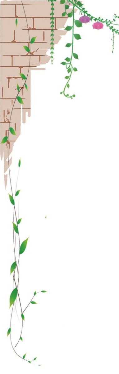 上海在城市更新中大力推廣立體綠化(多圖)