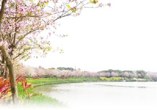 城中有桃源（美麗中國）