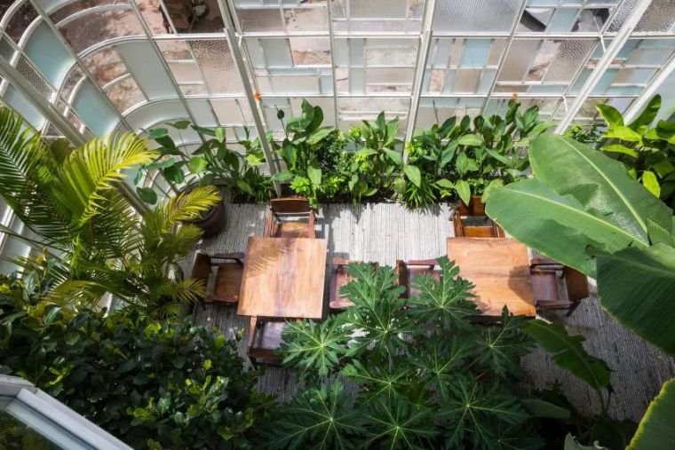 被低估的越南“綠色住宅”