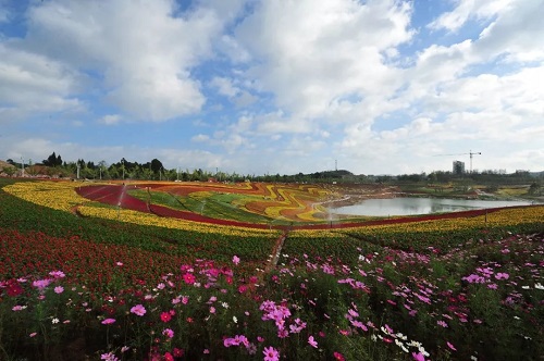 新城園林：綠水青山就是金山銀山