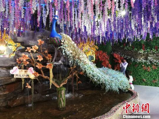 中國(guó)最大花市將升級(jí)為“第一花卉小鎮(zhèn)”