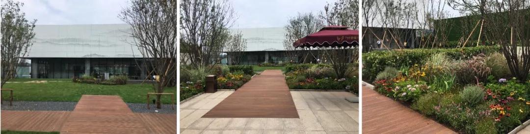 2019園冶杯專業獎丨萬科 · 夢想之光