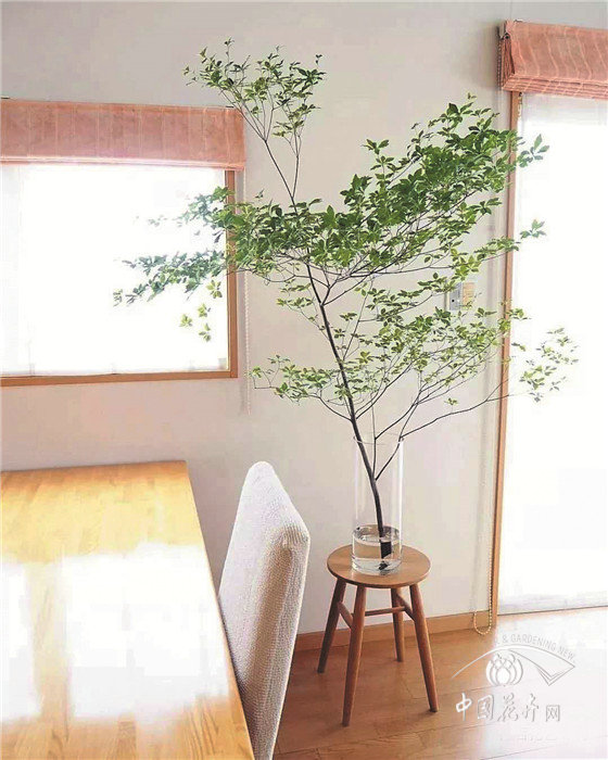 國(guó)內(nèi)花市向著“淡季不淡”邁進(jìn)