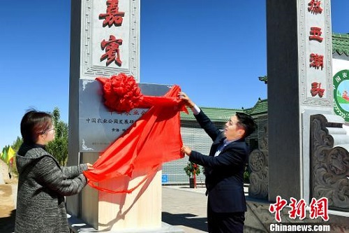 青海首個“中國農業公園” 落戶格爾木