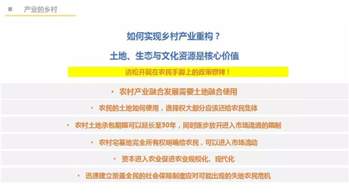 吳必虎：城鄉(xiāng)一體方能振興鄉(xiāng)村