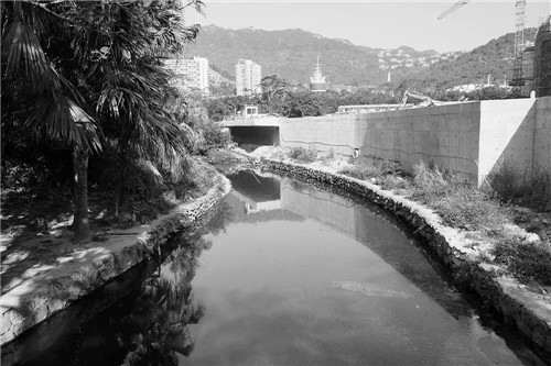 文科園林丨深圳大梅沙河景觀改造設計