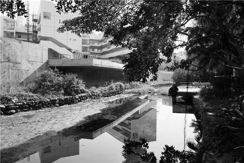 文科園林丨深圳大梅沙河景觀改造設計