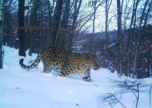 國家公園體制試點，“試”什么？