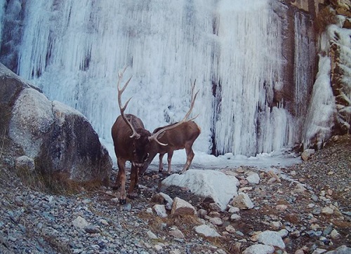 國家公園體制試點，“試”什么？