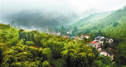 浙江四部門聯(lián)合發(fā)文推進(jìn)森林康養(yǎng)產(chǎn)業(yè)發(fā)展