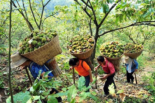 森林城市:涂抹“綠”生活