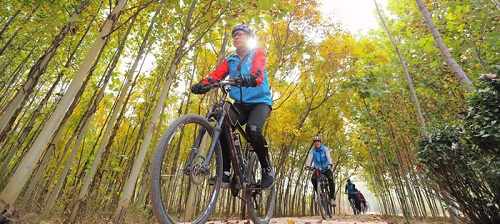 森林城市:涂抹“綠”生活