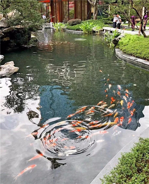 高宅大園 國風(fēng)賦新丨深圳泰禾金尊府