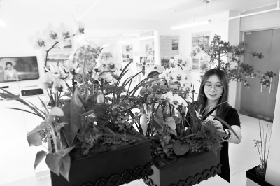 世園會參展企業落戶延慶