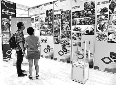 世園會上的巴哈馬風情