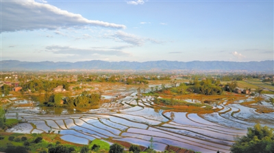 重慶：小微濕地點亮美麗鄉村