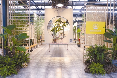 花藝師眼中的軟裝設計