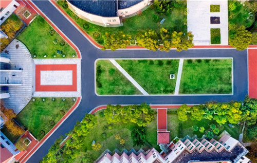 2019園冶杯專業獎丨合肥潤安公學景觀提升工程(一期)