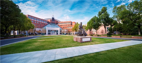 2019園冶杯專業獎丨合肥潤安公學景觀提升工程(一期)