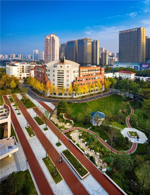 2019園冶杯專業獎丨合肥潤安公學景觀提升工程(一期)