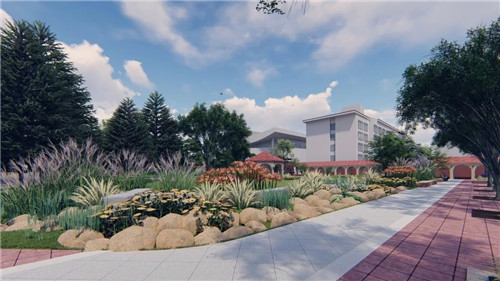 2019園冶杯專業獎丨合肥潤安公學景觀提升工程(一期)