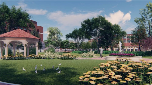 2019園冶杯專業獎丨合肥潤安公學景觀提升工程(一期)