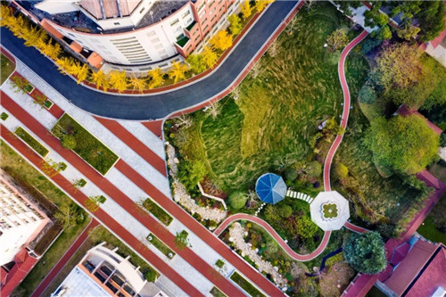 2019園冶杯專業獎丨合肥潤安公學景觀提升工程(一期)